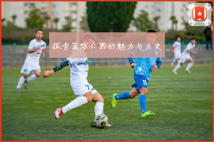 探索篮球公园的魅力与历史