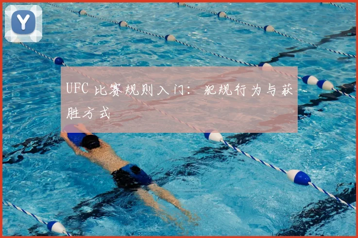 UFC 比赛规则入门:犯规行为与获胜方式